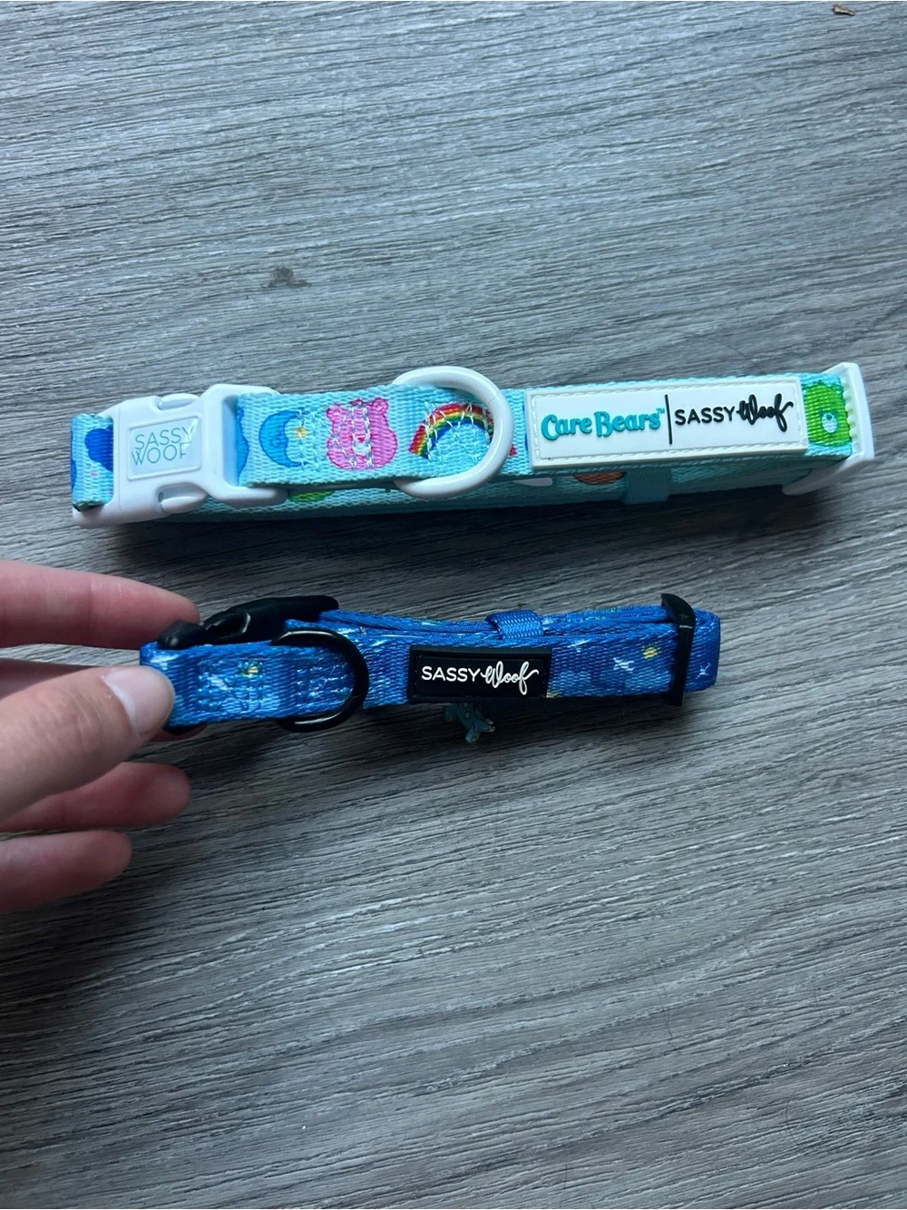 Sassy Woof Airplane Travel Dog Collar